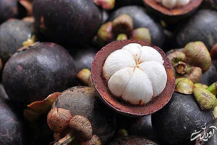 خواص منگوستین برای پوست هم مفید است